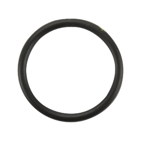 O-ring CNH utilagro